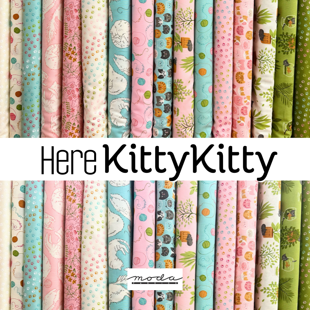 Here Kitty Kitty by Stacy Iest Hsu for Moda Fabrics