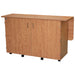 Wooden storage cabinet with two doors on a white background